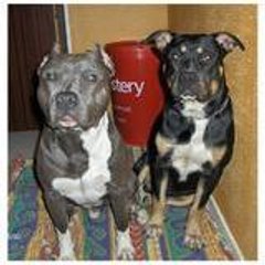 coolamstaff