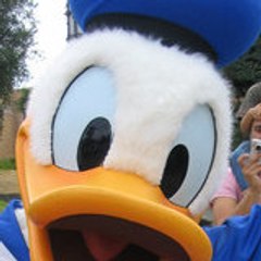 Donald 77