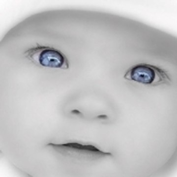 Turk_islam_birligi