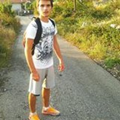 Elwis Alibasic