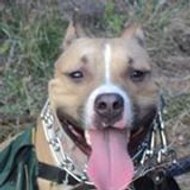 José  Manuel Ruvalcaba