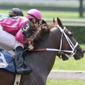 horseracingtips