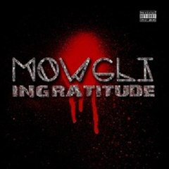 MOWGLI-ACTU