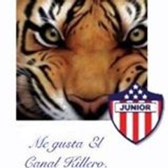 El Canal Killero