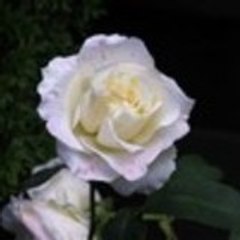 Kerstin_Centervall