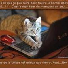 Calou BAUD