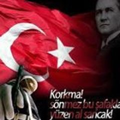 Kubilay Kurt