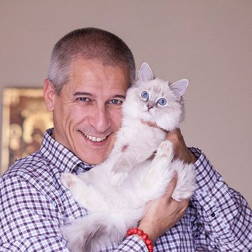 Yves Spapen