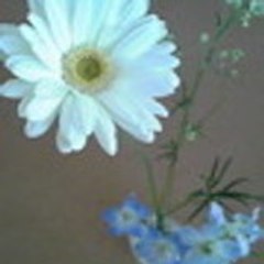 IAppealToYou