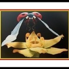 Marie-Christine MamHélène