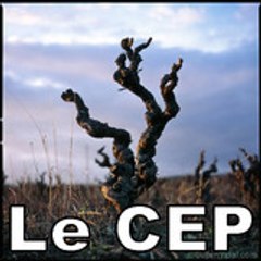 Le-CEP
