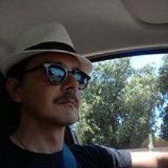 Mauro Miccolis