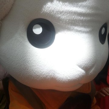 Hydetam Bi (Lady Yang)