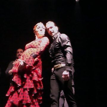 Toñi Cabezas Garcia