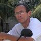 Louro Arara