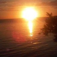 Officielle Rastamo971