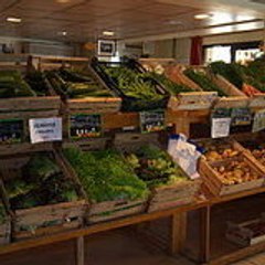 LaPanouille