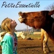 PetiteEssentielle