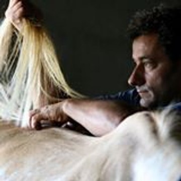 Ecole Osteopathie Equine