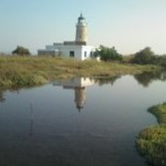 faros5