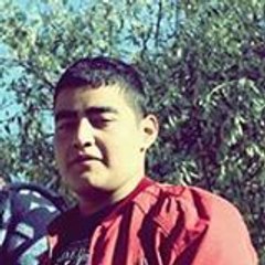Eren Erkan