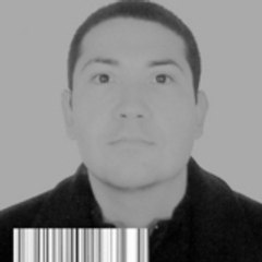 paco77