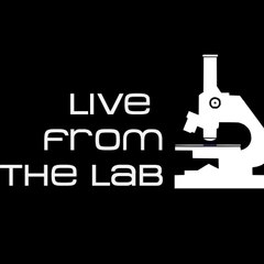Live From The LAB