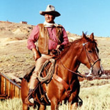 The Cowboy