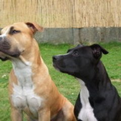 Keevin & Jen