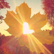 şarkılara sığınmak