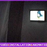 Marie-Laure Bruneau, Artiste plasticienne