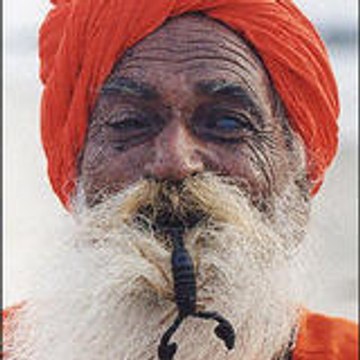mehdi