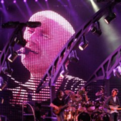 michel vachamami