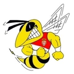 Tzartziky