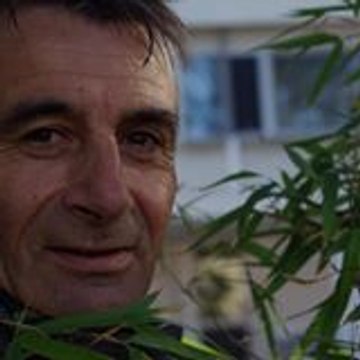 René Vaquier
