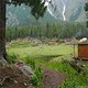 Mansoor Ali