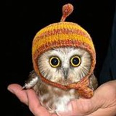 Marie-Christine Duchamp