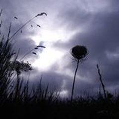 leavinghope