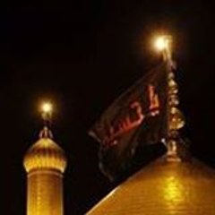 Ali Hasnain Qilvi