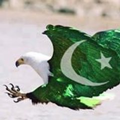 Rana Rana Bilal Apml
