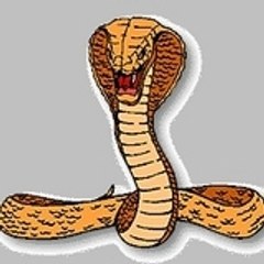 snake59270