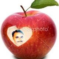 Kamalakar Araligida