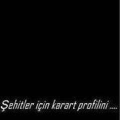 zafer Avcı