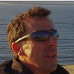 Michel Sineau
