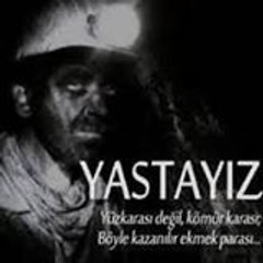 Recep Doğan