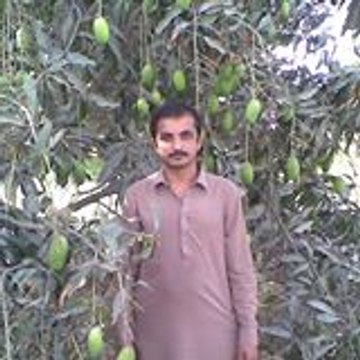 Qadir Baloch