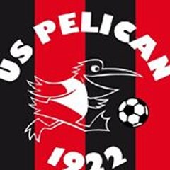 US Pelican