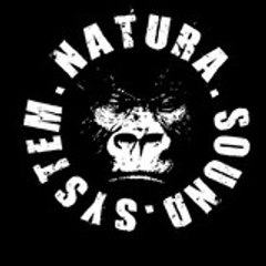 Natura Soundsystem