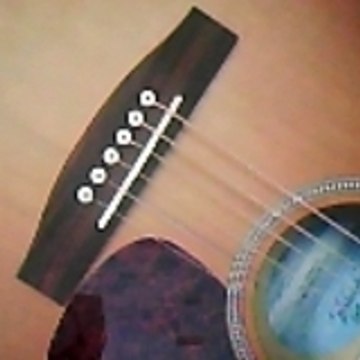 f717748786