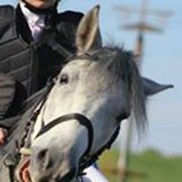 kalou97410